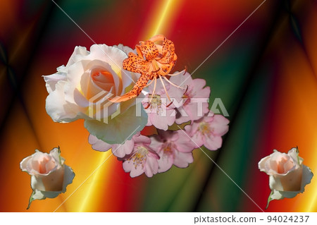 各種花開1！ 94024237