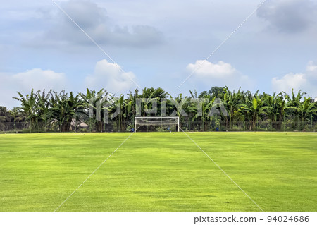 View of a huge football field with a green fresh lawn surrounded by palm trees and trees in Indonesia on the island of Bali 94024686