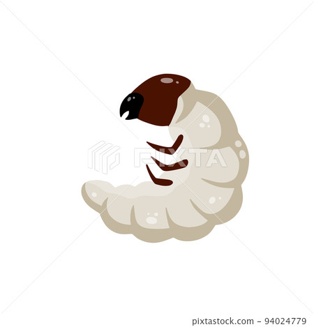 Insect larva. White caterpillar. Little worm parasite. 94024779