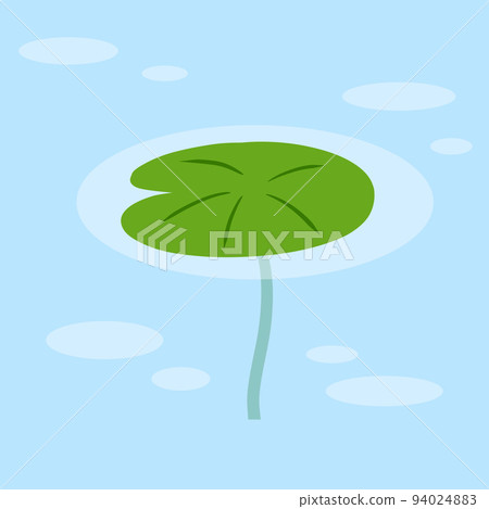Water lily in pond. River plant. Green leaves on water. Nature of swamp, scenery of lake. Water lily in pond. River plant. Green leaves on water. Nature of swamp, scenery of lake. 94024883