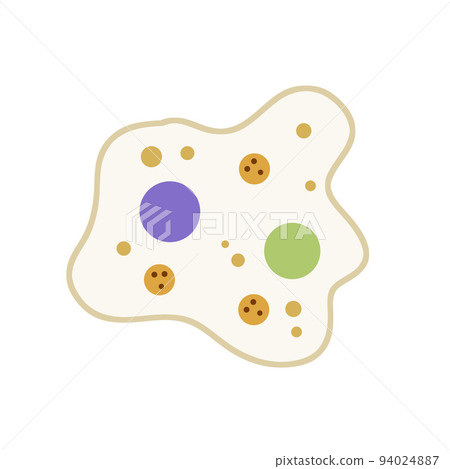 Amoeba cell. Small unicellular animal. Virus and bacteria. Amoeba cell. Small unicellular animal. Virus and bacteria. 94024887