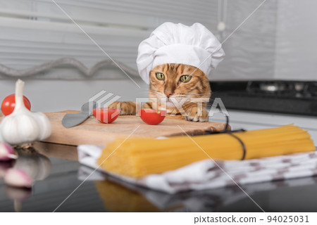 Cat in a chef's hat at the table with ingredients for making pasta with cherry tomatoes. 94025031