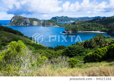 Copepe Coast Ogasawara Islands Chichijima 94025168