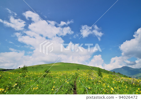 Nikkokisuge Kurumayama 94026472