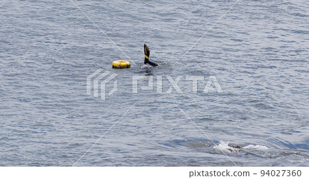 Sea fishing 94027360