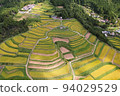 鳥瞰越畠梯田 94029529