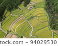 鳥瞰越畠梯田 94029530