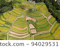 鳥瞰越畠梯田 94029531