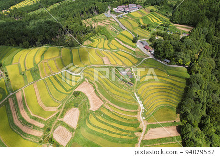A bird's-eye view of the rice terraces of Koshihata A bird's-eye view of the rice terraces of Koshihata 94029532