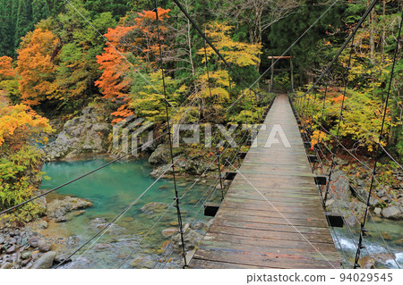Autumn in Akiyama-go, Mikura Bridge in Kinshu 94029545