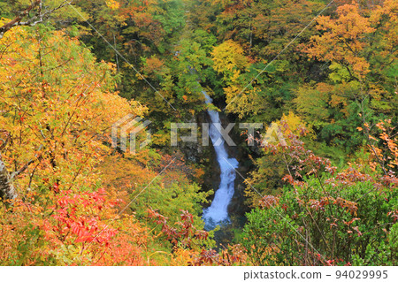 Akiyamago Autumn Jabuchi Falls Akiyamago Autumn Jabuchi Falls 94029995