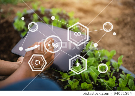 Geneticists, biologists, and scientists are studying the genetic structure of vegetables in a greenhouse. 94031594