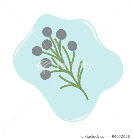 Branch of brunia blooming flowers, vector illustration Branch of brunia blooming flowers, vector illustration 94032058