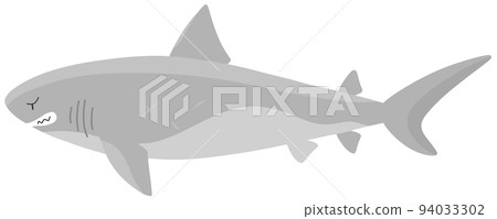 巨齒鯊 94033302
