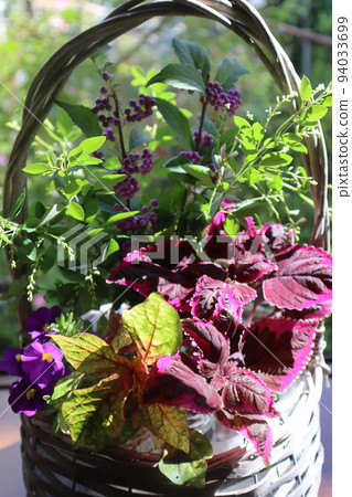 Decorate the bay window with flowers in the garden 94033699