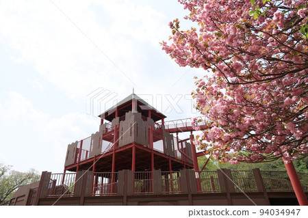 船橋市安徒生公園風景 船橋市安徒生公園風景 94034947