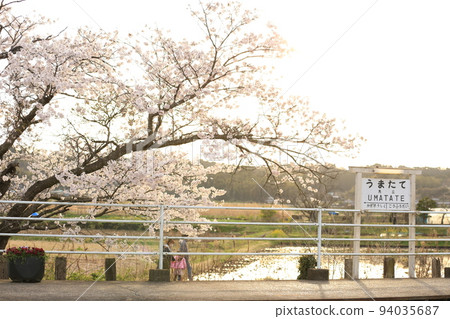 Cherry blossoms and Umatate station 94035687
