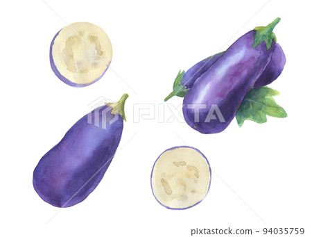 Eggplant watercolor illustration isolated on white Eggplant watercolor illustration isolated on white 94035759