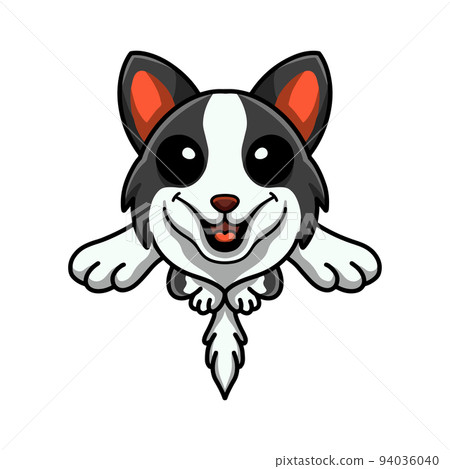 Cute border collie dog cartoon jumping Cute border collie dog cartoon jumping 94036040