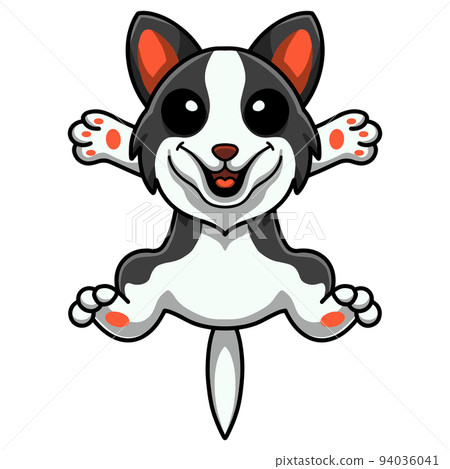 Cute border collie dog cartoon Cute border collie dog cartoon 94036041