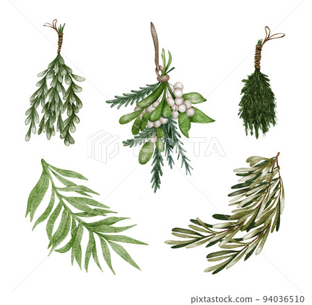 Christmas watercolor floral set. Diferent green twigs and holly leaves, white berries, olive branches and spruce 94036510
