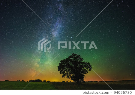 Night landscape with colorful Milky Way and an Oak tree 94036780
