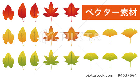 Leaf autumn leaves vector material 94037664