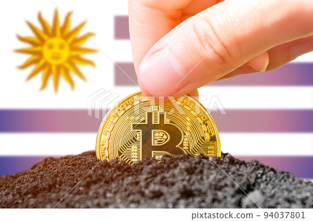 Legalization of bitcoin in Uruguay. Planting bitcoin in the ground on the background of the flag of Uruguay. Uruguay - investment in cryptocurrency 94037801
