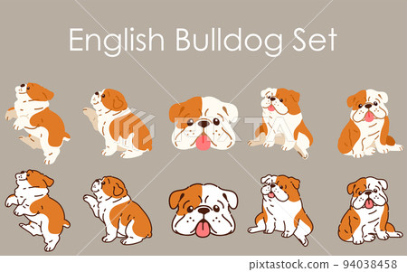 is the american bulldog legal in brunei