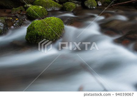 川俁川流水長滿青苔 94039067