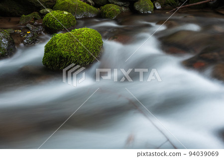 川俁川流水長滿青苔 94039069