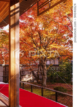 京都圓光寺秋葉園 京都秋葉 京都著名旅遊景點 京都圓光寺秋葉園 京都秋葉 京都著名旅遊景點 94040824