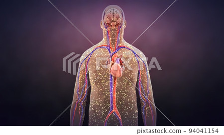 loss of bacteria in the body loss of bacteria in the body 94041154