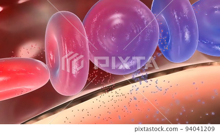 Oxygen and Carbon Dioxide Exchange in the Human Lung Oxygen and Carbon Dioxide Exchange in the Human Lung 94041209