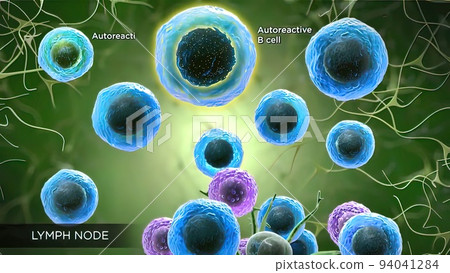 lymph nodes located in many parts of the body lymph nodes located in many parts of the body 94041284