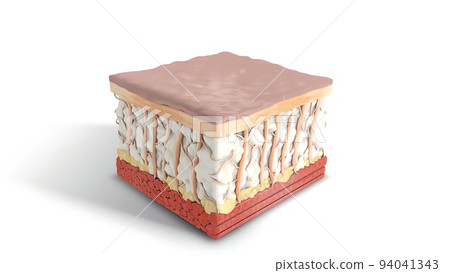 Laser Skin Resurfacing Surgery Laser Skin Resurfacing Surgery 94041343