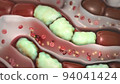 Liver cells become infected with virus 94041424