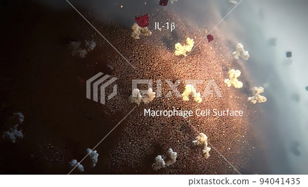 Immune system defense, functioning in the body 94041435