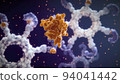 Antibodies destroy an infected cell by a virus, immun defense kill the infected cell 94041442