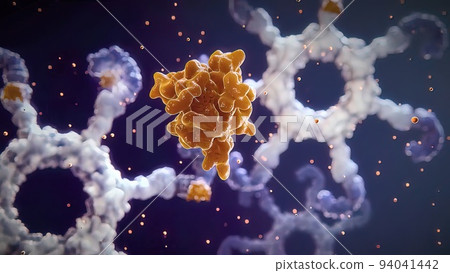 Antibodies destroy an infected cell by a virus, immun defense kill the infected cell 94041442