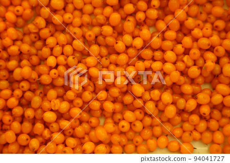 Bright ripe berries of sea buckthorn, food background 94041727