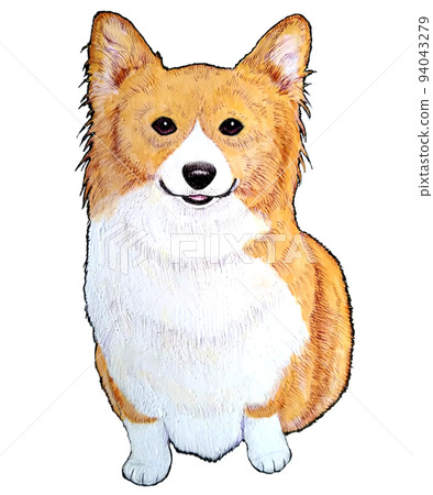 sitting fluffy corgi 94043279