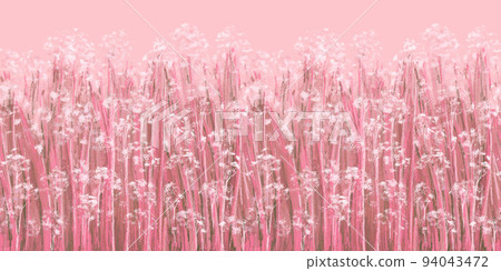 Coral pink Nature floral seamless border. Beautiful meadow twigs with white flowers and leaves and grass. Coral pink Nature floral seamless border. Beautiful meadow twigs with white flowers and leaves and grass. 94043472