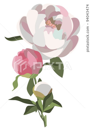 Peony floral composition, three white and pink flowers with greenery. Wedding card decoration. Romantic background. Peony floral composition, three white and pink flowers with greenery. Wedding card decoration. Romantic background. 94043474