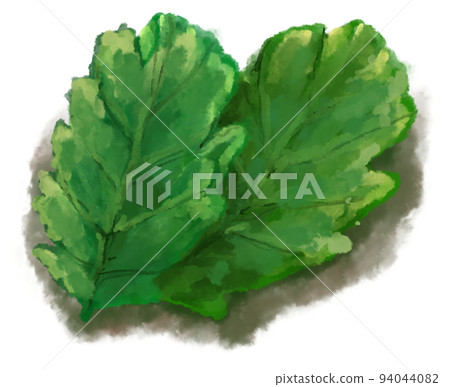 Green salad vegetable breakfast side watercolor painting illustration Green salad vegetable breakfast side watercolor painting illustration 94044082