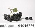 Closeup Black Chokeberry Berries Aronia Melanocarpa 94046776