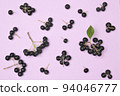 Closeup Black Chokeberry Berries Aronia Melanocarpa 94046777