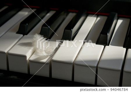 White Feather touching keyboard of piano 94046784