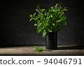Fresh Green Mint in Black Tin Can 94046791
