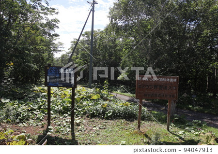 幻影營地!鬼頭士營 3 幻影營地!鬼頭士營 3 94047913